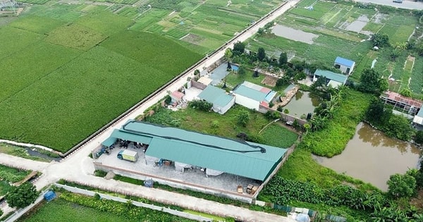 Quy định mới chuyển đất nông nghiệp sang đất thổ cư 2025, người dân cần nắm rõ
Quy định mới chuyển đất nông nghiệp sang đất thổ cư 2025, người dân cần nắm rõ