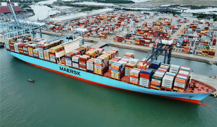 TP. HCM xúc tiến lập khu thương mại tự do Cái Mép Hạ 3.800 ha