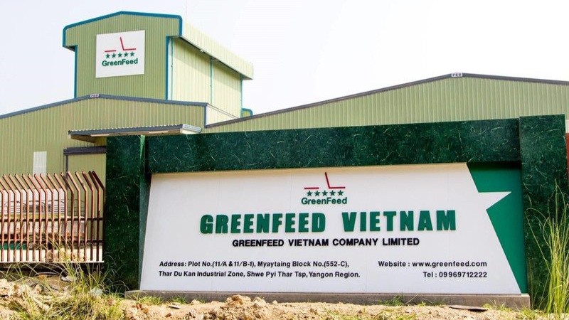 GreenFeed Việt Nam kiếm bộn từ chăn nuôi, mỗi ngày bỏ túi cả chục tỷ đồng