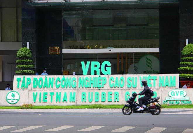 Công ty con của GVR bạo chi 390 tỷ đồng trả cổ tức tỷ lệ 150%, gấp 5 lần lãi cả năm 2024