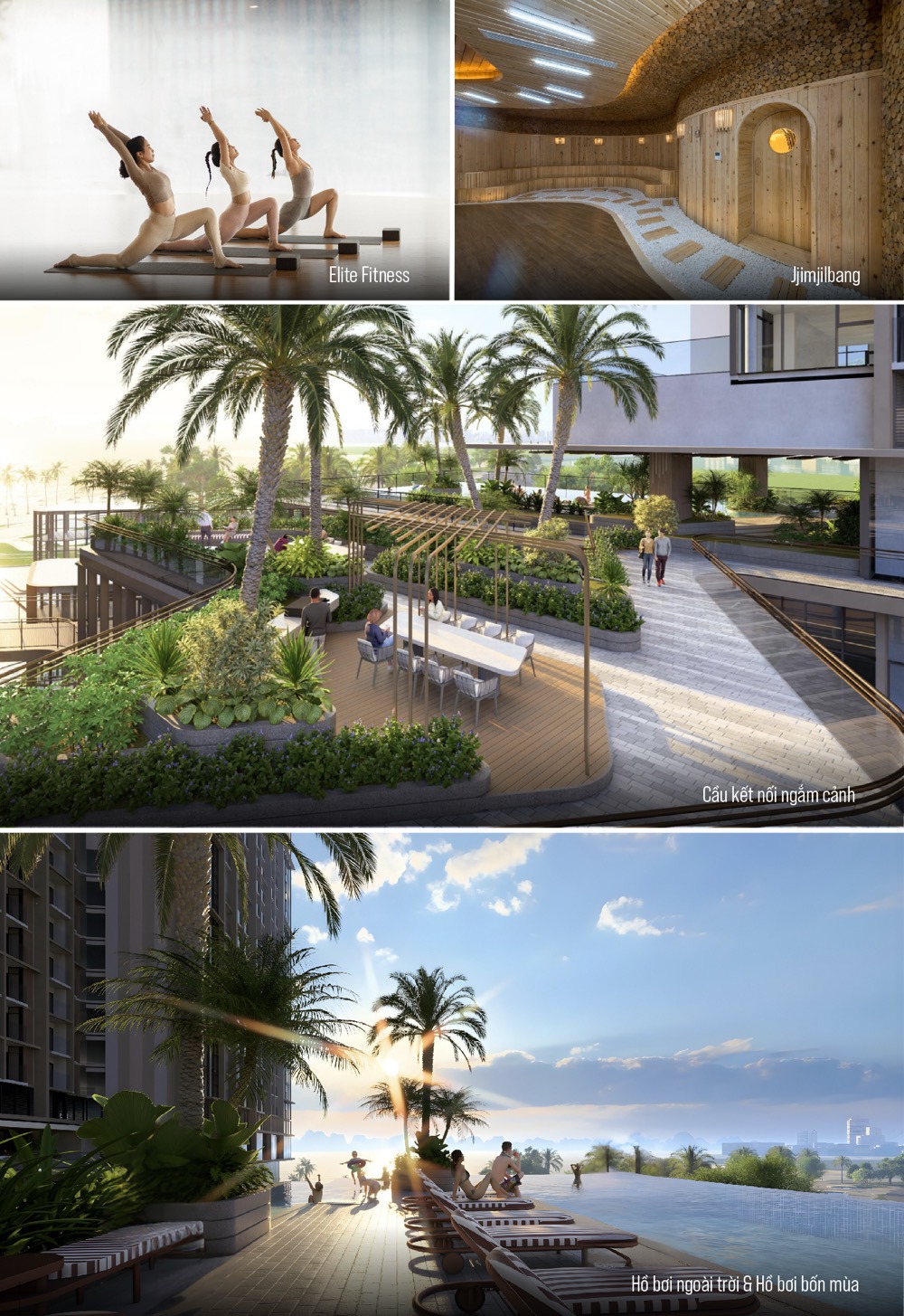 anh18639041531717534759 anh18639041531717534759