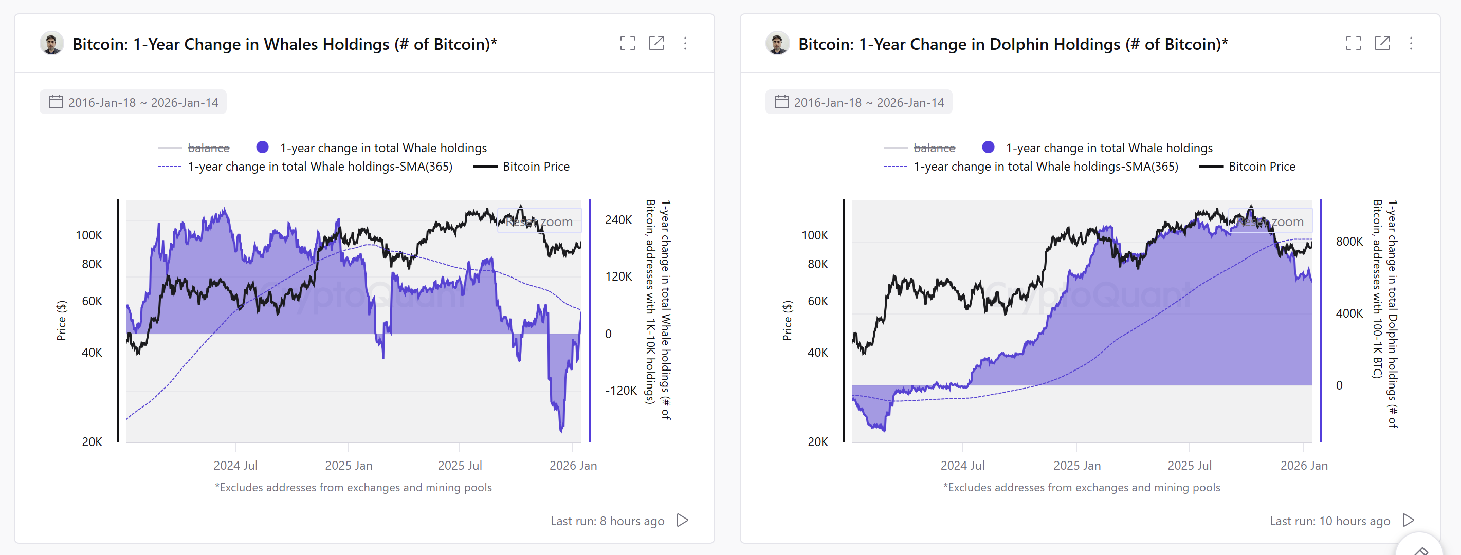 Tương quan giữa giá Bitcoin và lượng nắm giữ của 'cá voi', 'cá heo' trên thị trường (Nguồn: CryptoQuant)