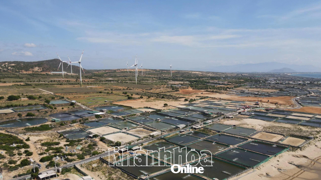 Khu vực dự kiến xây dựng Nhà máy điện hạt nhân Ninh Thuận 1 (Ảnh: Báo và Phát thanh, Truyền hình Khánh Hòa)