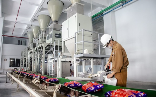 dgc639097677112380127 dgc639097677112380127