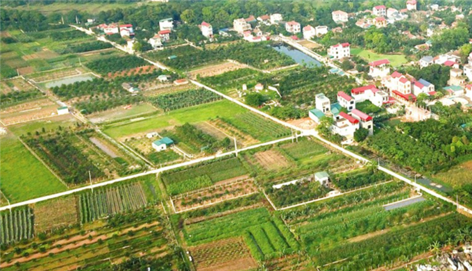 Nam Định sắp đấu giá 28 lô đất, khởi điểm từ 8 triệu đồng/m2