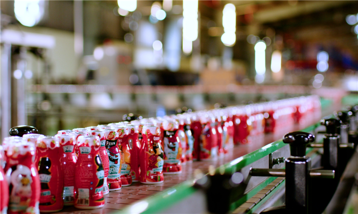 IDP sắp chi 300 tỷ đồng tạm ứng cổ tức năm 2024