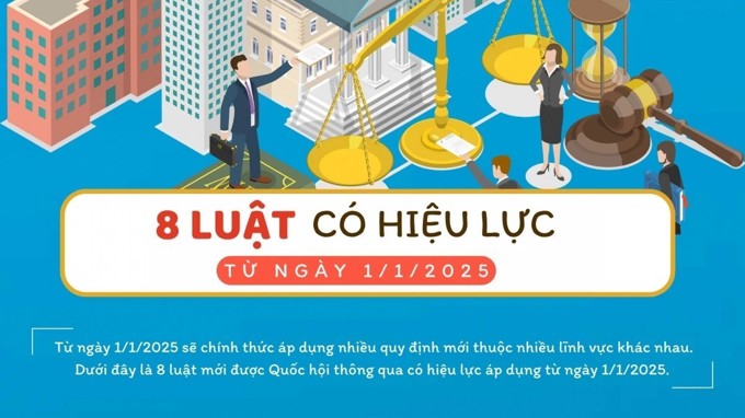 8 luật có hiệu lực từ 1/1/2025