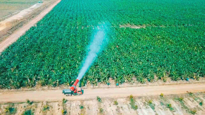 HNG trả xong 4.200 tỷ đồng cho BIDV và HAGL, nhận lại 32.500 ha đất cao su, cọ dầu