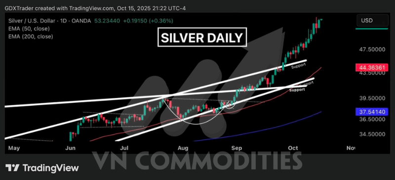 14638962309346672587