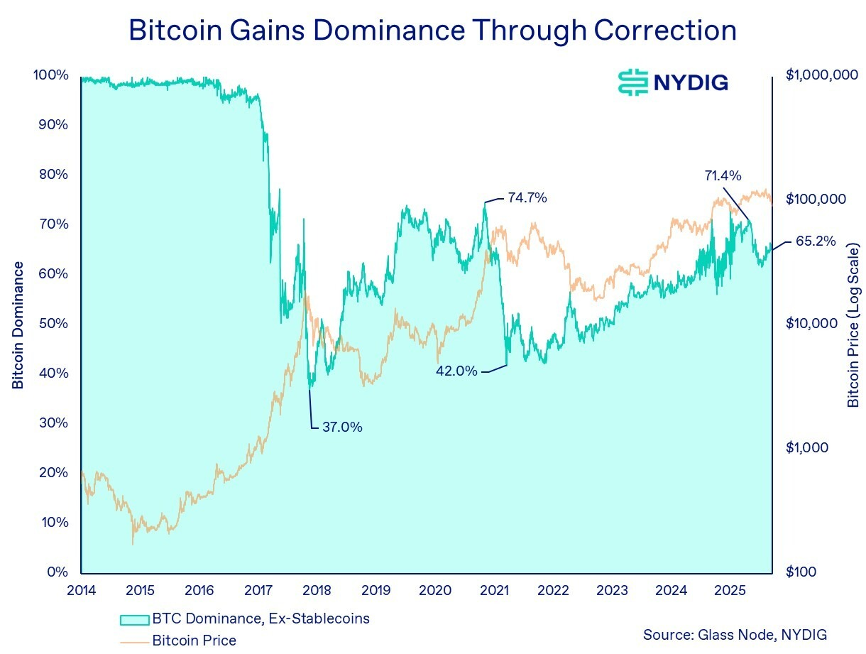 Sự thống trị của Bitcoin có xu hướng tăng vọt trong giai đoạn crypto điều chỉnh (Nguồn: NYDIG) Sự thống trị của Bitcoin có xu hướng tăng vọt trong giai đoạn crypto điều chỉnh (Nguồn: NYDIG)