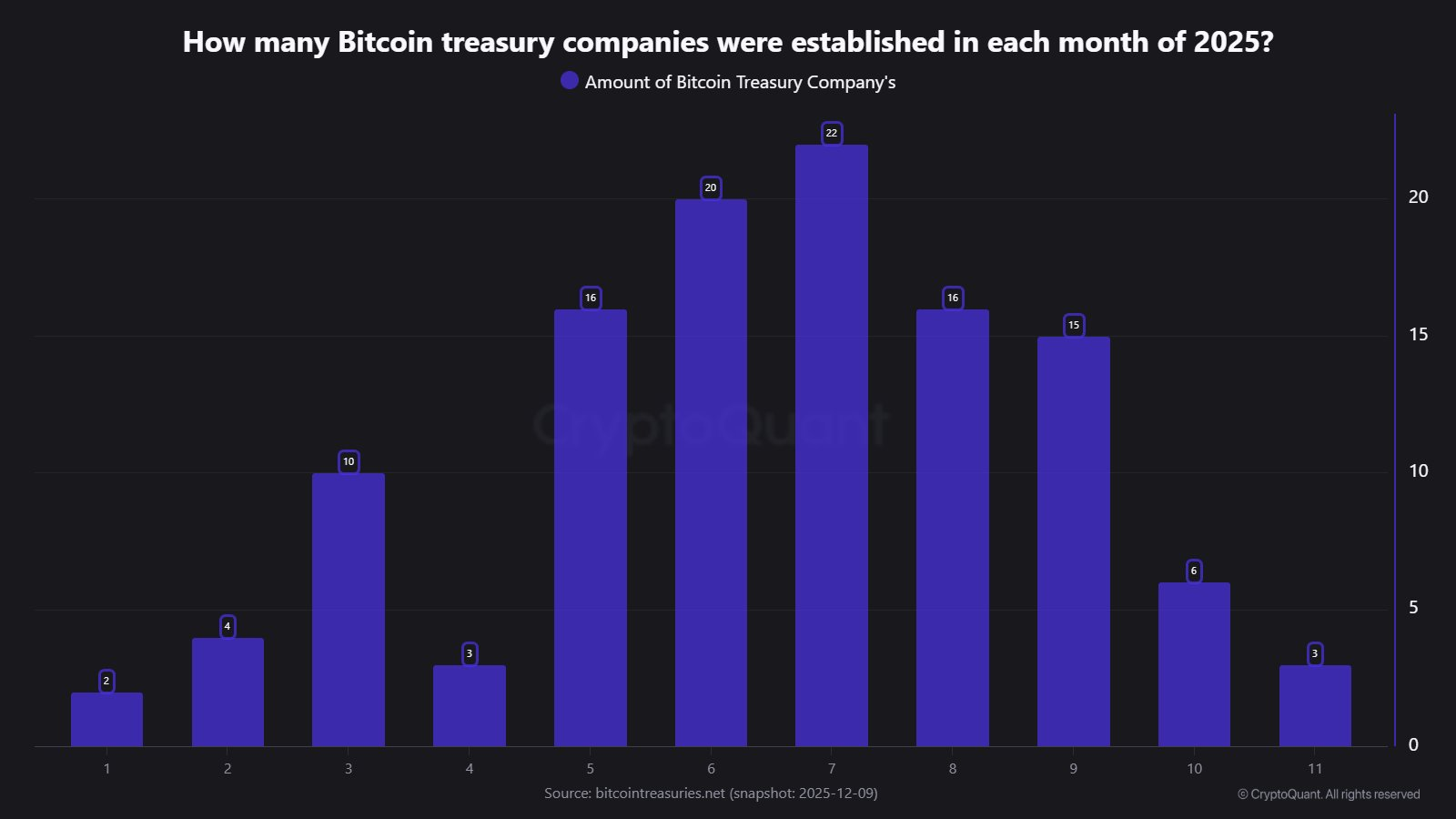 Số lượng công ty lập kho dự trữ BTC mới trong năm 2025 (Nguồn: CryptoQuant)
