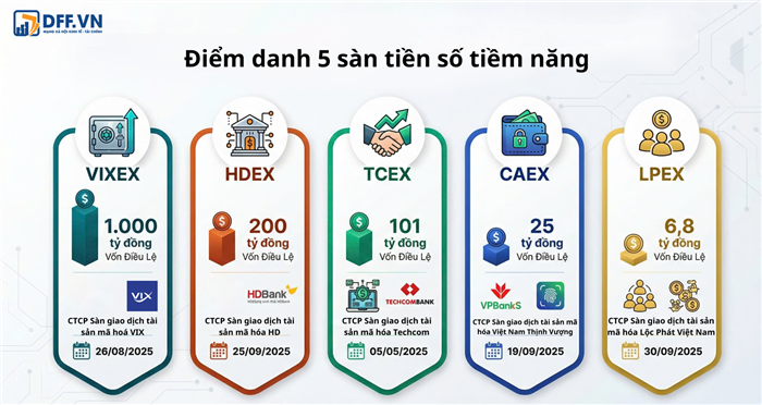 (Nguồn: Thành viên DFF.VN tổng hợp) (Nguồn: Thành viên DFF.VN tổng hợp)