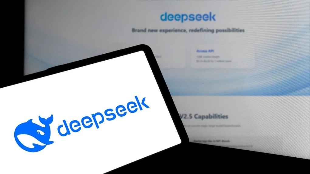 deepseek638742776485059740