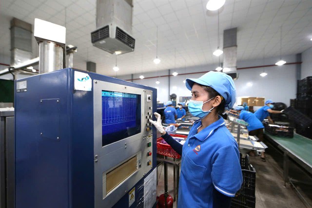 Công nhân Công ty TNHH Thực phẩm Vĩnh Thành Đạt trở lại hoạt động sau Tết (Ảnh: VGP) Công nhân Công ty TNHH Thực phẩm Vĩnh Thành Đạt trở lại hoạt động sau Tết (Ảnh: VGP)