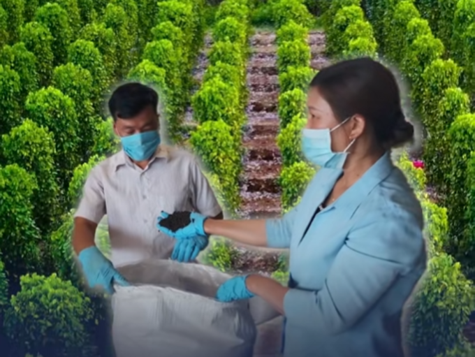 Biết gì chưa người đẹp: Một loại nông sản thế giới đang lên cơn khát nhưng Việt Nam sở hữu hơn 100.000 ha - Mỹ, Đức liên tục tìm mua, giá tăng phi mã