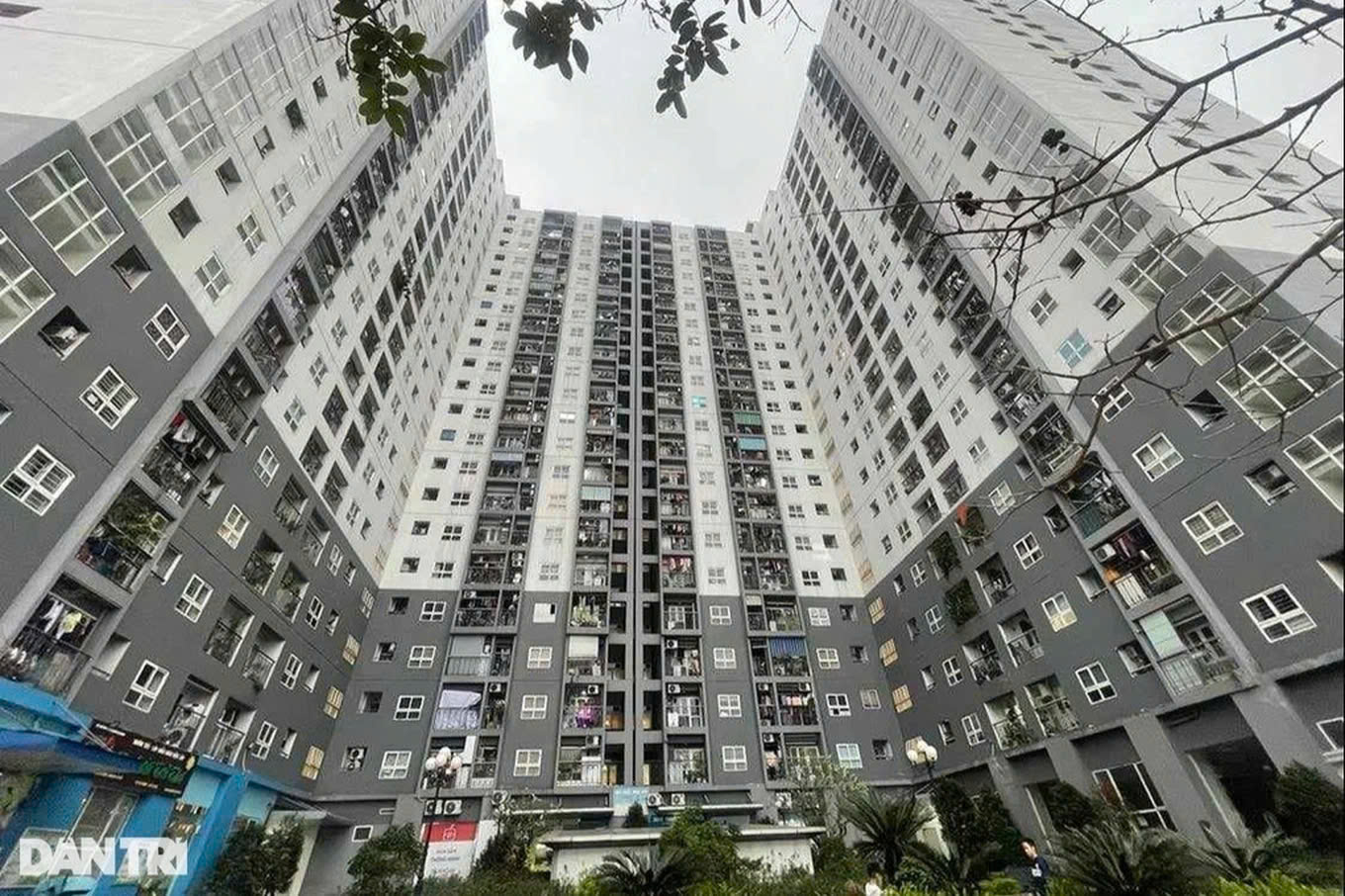 Phân khúc nhà ở xã hội cũng được dự báo sẽ phát triển trong năm nay (Ảnh minh họa: Trần Kháng).