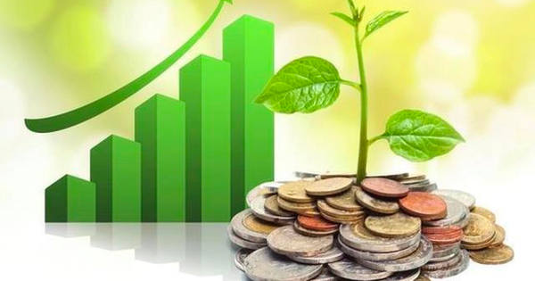Lịch chốt quyền cổ tức tuần 3/3-7/3: Cổ tức tiền mặt cao nhất 20%