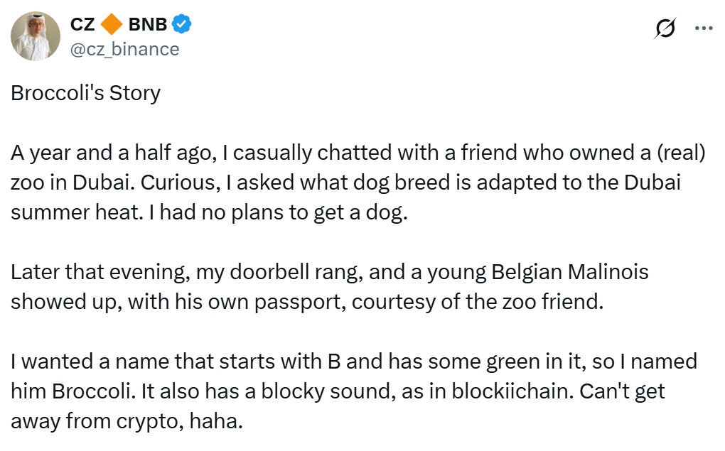 broccoli638791147257723722