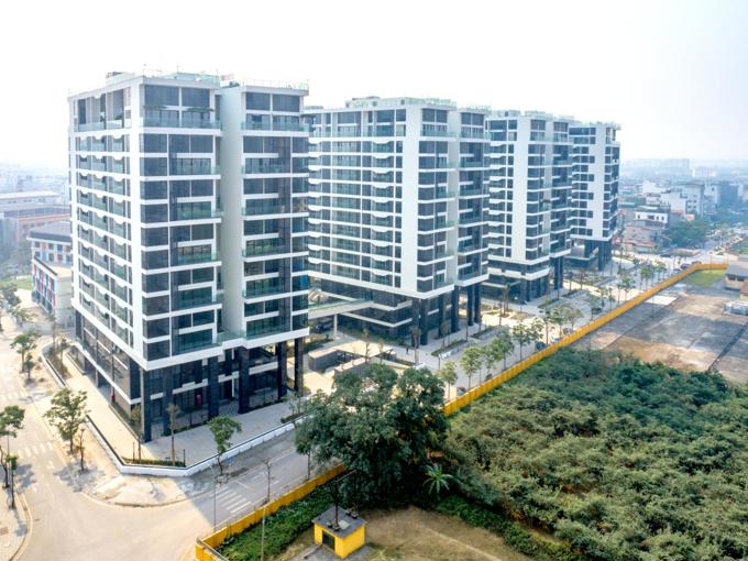 Sunshine Group livestream đặt giá căn hộ vào 1/7 chỉ với giá khởi điểm bằng 50% giá thị trường