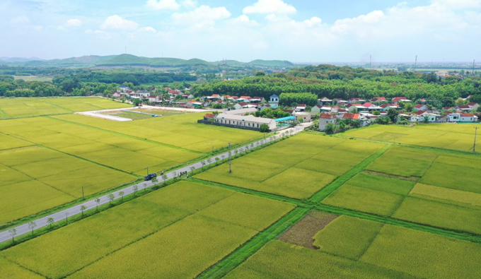 Đề xuất giảm tới 70% phí chuyển đất nông nghiệp sang đất ở