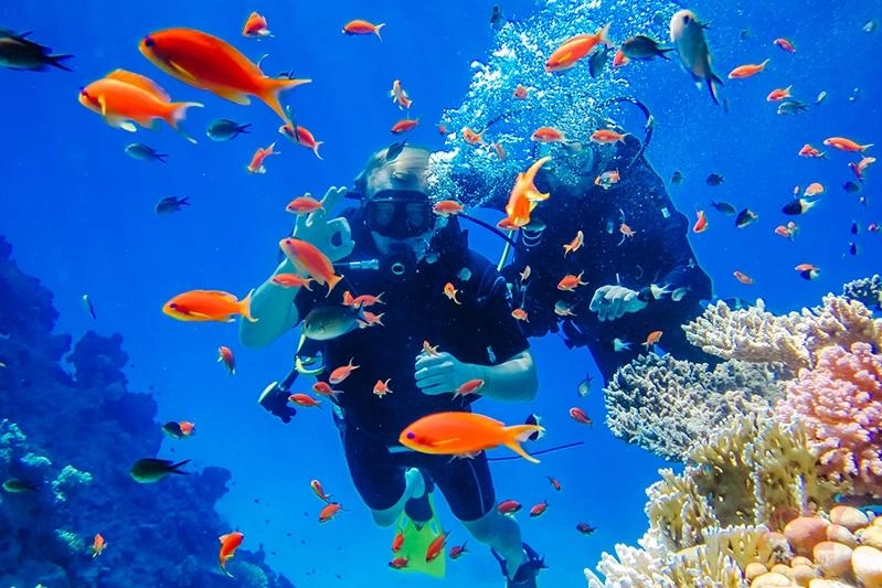 Cư dân lặn ngắm san hô tại Villa Le Corail. Ảnh: KDI Holdings