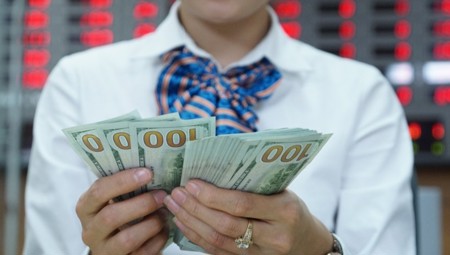 Tỷ giá trung tâm USD/VND lập kỷ lục