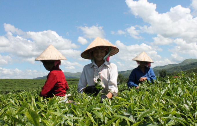 Việt Nam xuất khẩu 34 tỷ USD nông lâm thủy sản trong nửa đầu năm 2025, Mỹ là thị trường lớn nhất