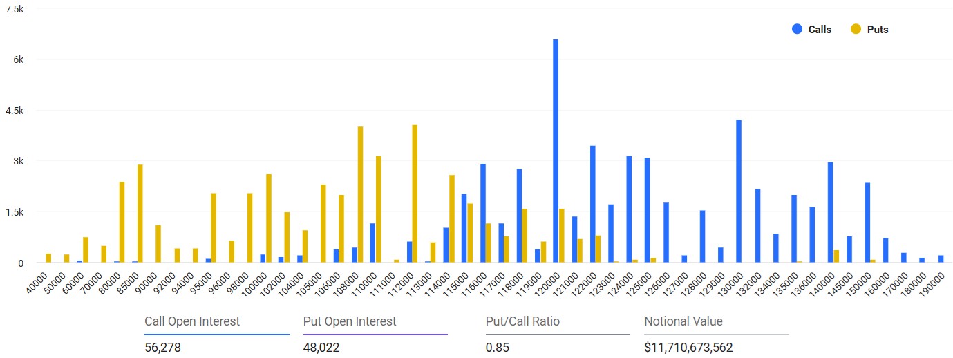 Biểu đồ khối lượng quyền chọn Bitcoin ngày đáo hạn 29/8 (Nguồn: Deribit)