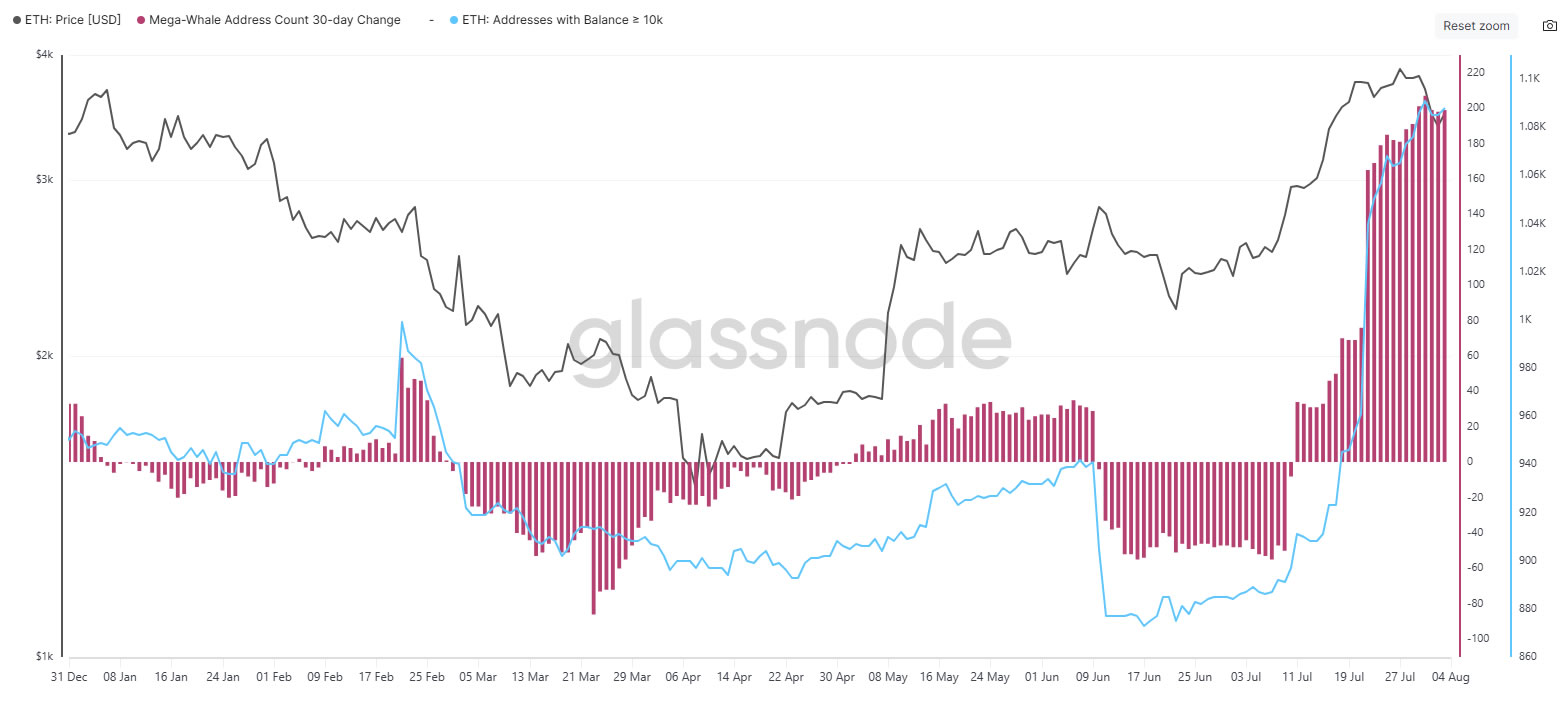 Số lượng địa chỉ ETH 'cá voi khổng lồ' tăng vọt (Nguồn: Glassnode) Số lượng địa chỉ ETH 'cá voi khổng lồ' tăng vọt (Nguồn: Glassnode)