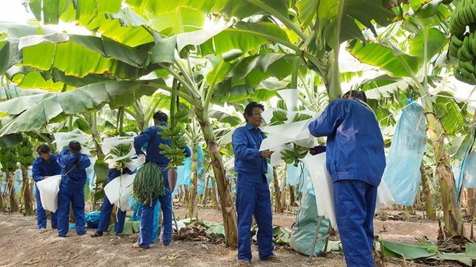 Lỗ lũy kế của HNG vượt 9.600 tỷ đồng