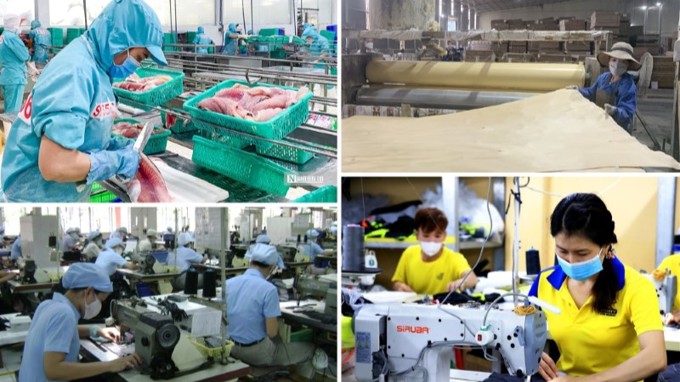 Gần một nửa doanh nghiệp tư nhân thua lỗ hàng năm