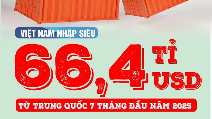 Việt Nam nhập siêu 66,4 tỉ USD từ Trung Quốc sau 7 tháng