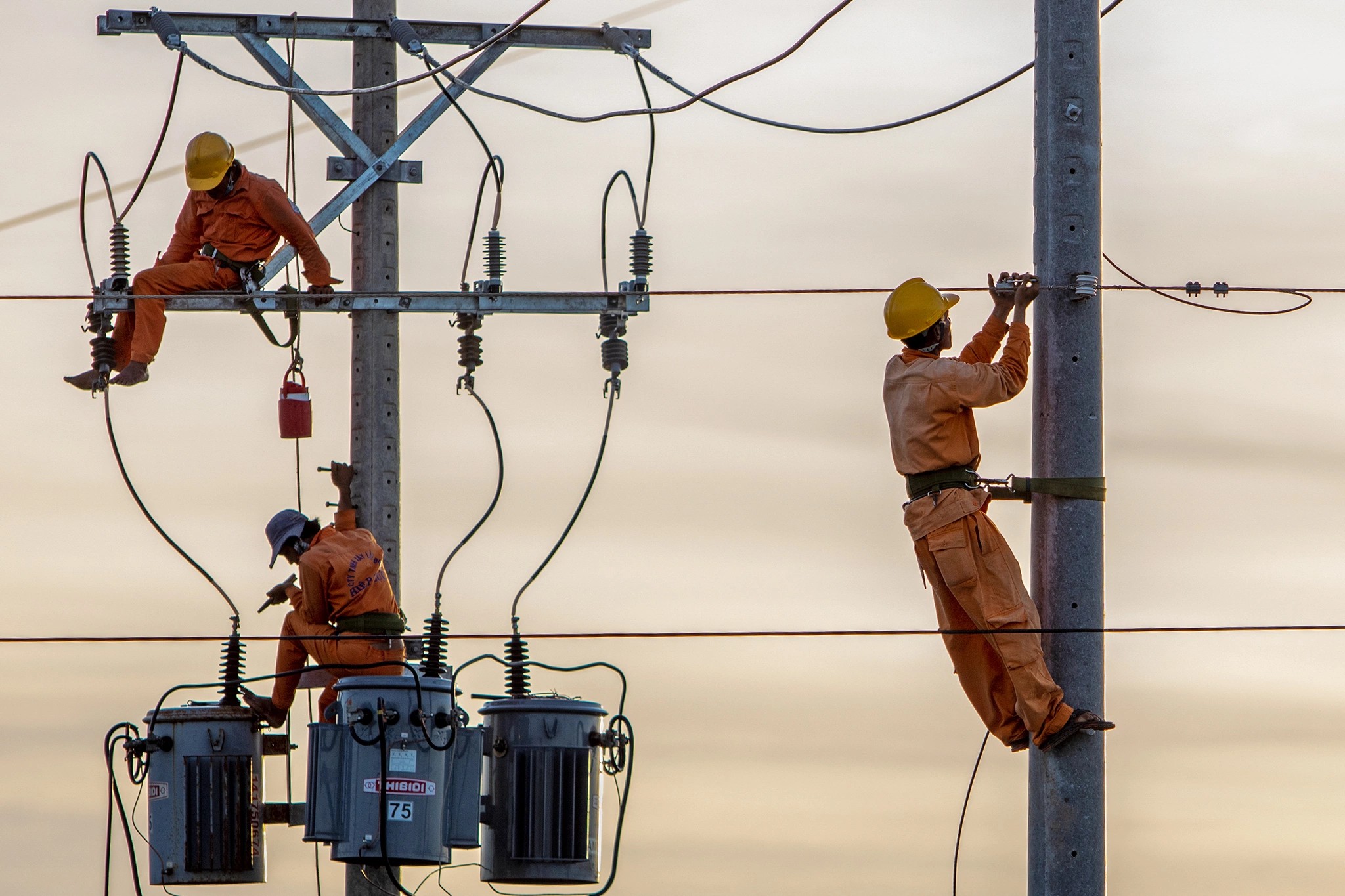 dien-1638925807679934577 dien-1638925807679934577