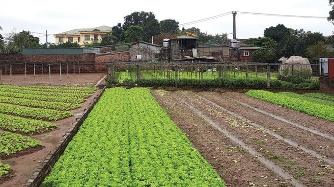 Hà Nội đề xuất cho phép xây dựng công trình trên đất nông nghiệp, diện tích tối đa 700m²