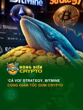 ‘Cá voi’ Strategy, BitMine cùng giảm tốc gom crypto
