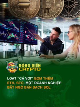 Loạt “cá voi” gom thêm ETH, BTC, một doanh nghiệp bất ngờ bán sạch SOL