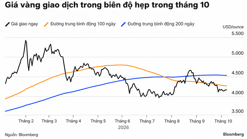 gia vang va duong trung binh nam gia vang va duong trung binh nam