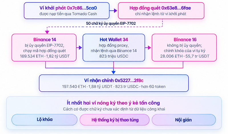 Sơ đồ ba ví nóng của Binance bị chiếm quyền. Binance 14 bị ủy quyền EIP-7702 cho hợp đồng quét, Hot Wallet 34 nhận lệnh qua Binance 14, còn Binance 16 do chính khóa của nó ký. Nguồn: Truy vết on-chain của ChainTracer.