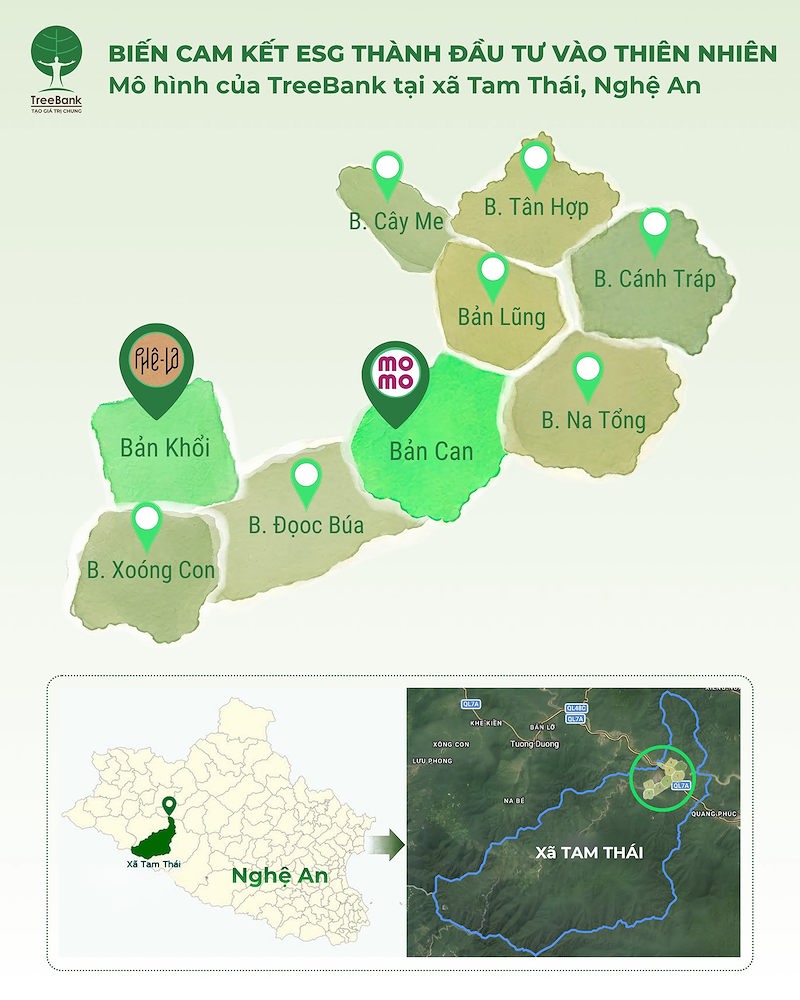 Vùng triển khai mô hình đầu tư vào thiên nhiên của TreeBank tại xã Tam Thái, Nghệ An (Ảnh: TreeBank)