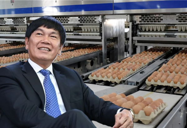 HPA lên kế hoạch lãi 1.000 tỷ đồng năm 2026, chia cổ tức 30%