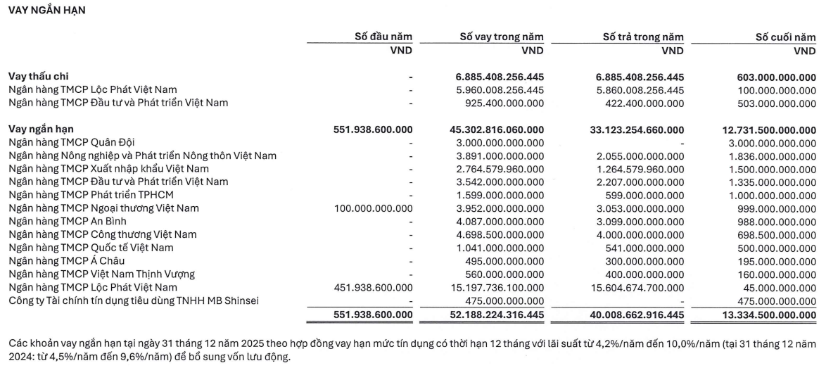 (Nguồn: Thuyết minh BCTC 2025 LPBS)