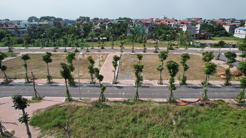 dau-gia-dat639129682940124466