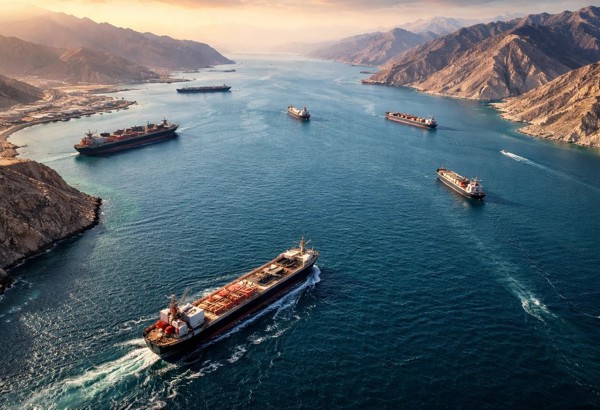 Bộ Ngoại giao: Iran triển khai thủ tục cho tàu Việt Nam qua eo biển Hormuz