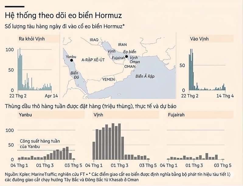 ft2639119273727333457