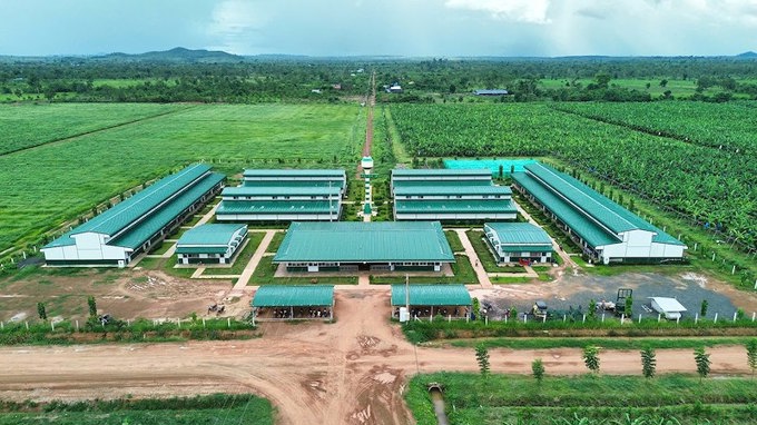 Thaco đưa thêm người vào HĐQT HAGL Agrico