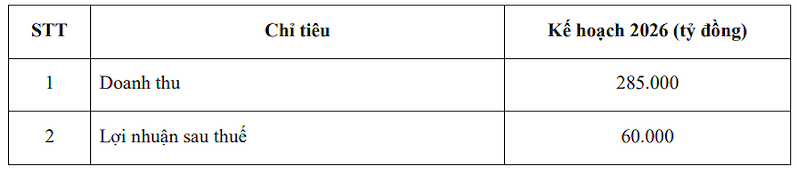 Kế hoạch kinh doanh năm 2026 của VHM