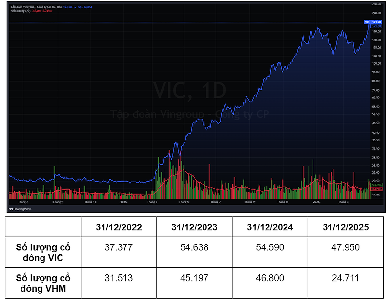vicccc639124190807150697