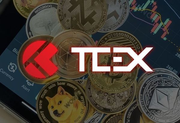 TokenBay tính hút 7.400 tỷ đồng từ trái phiếu để rót vốn vào TCEX