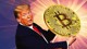 "Đế chế" truyền thông nhà ông Trump lỗ nặng vì Bitcoin và token CRO