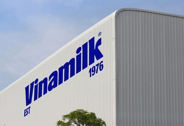 Vinamilk mỗi ngày thu hơn 26 tỷ đồng trong quý đầu năm, có hơn 23.000 tỷ đồng tiền gửi ngân hàng